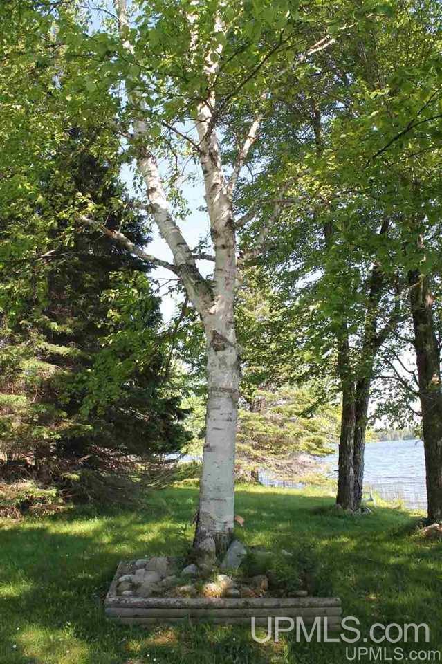 W18081 Wolfe Road, Unit LOTS 6&7 Germfask, MI 49836 - Photo 5 of 42 Gallery Image 5