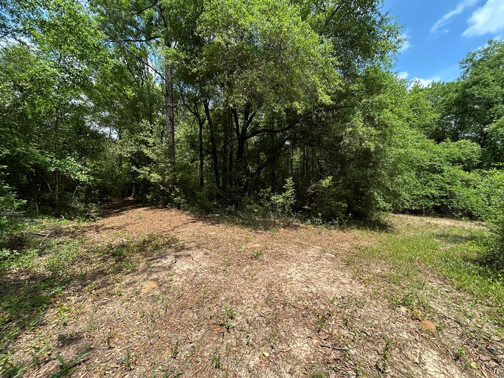 10907-44 -ac) Cty Road Hartford, AL 36344 - Photo 47 of 52