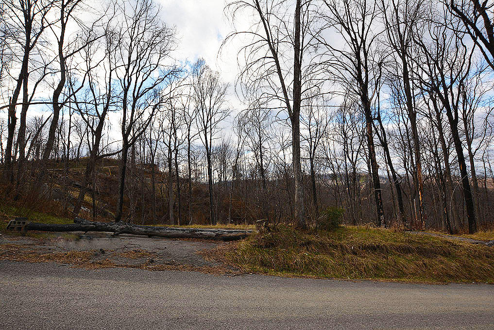 917 Village Loop Road Gatlinburg, TN 37738 - Photo 1 of 10 A
