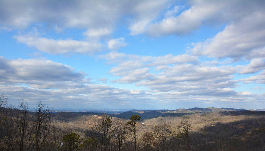 917 Village Loop Road Gatlinburg, TN 37738 - Photo 3 of 10 C