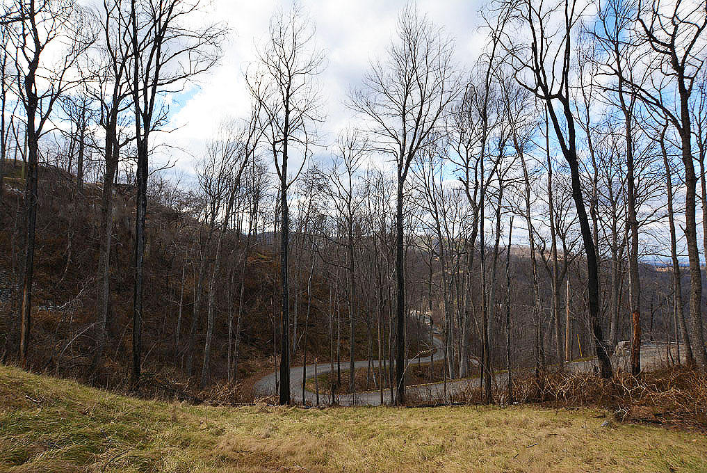 917 Village Loop Road Gatlinburg, TN 37738 - Photo 4 of 10 D
