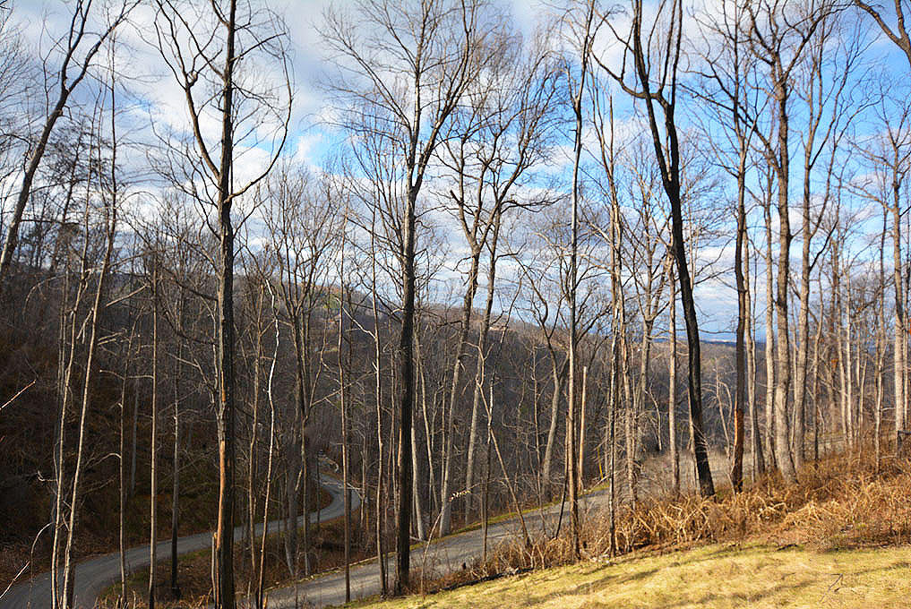 917 Village Loop Road Gatlinburg, TN 37738 - Photo 5 of 10 E