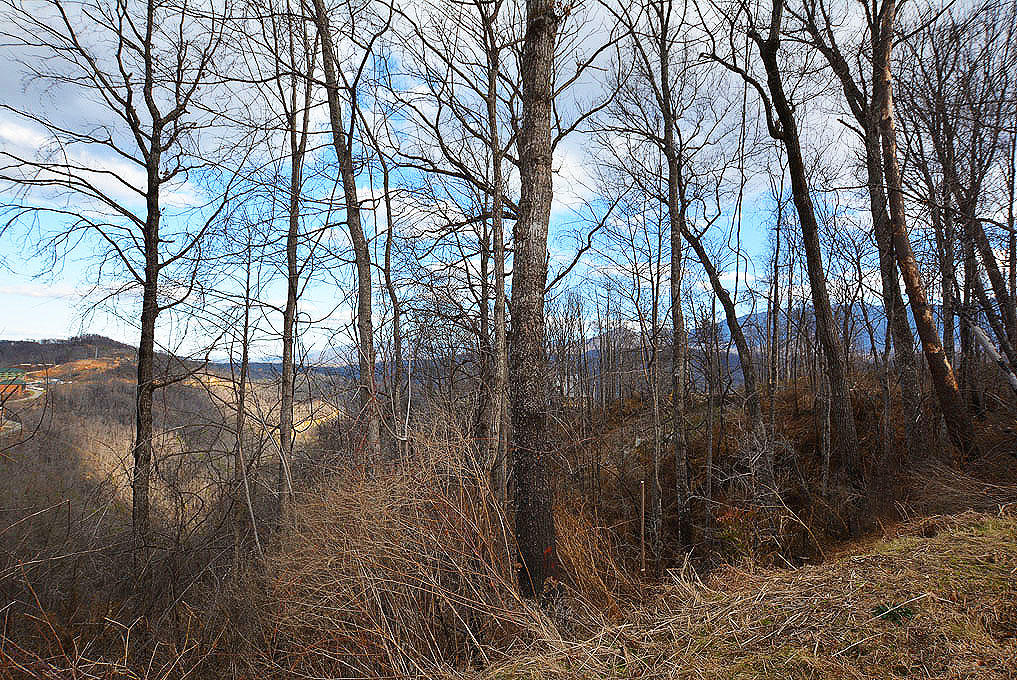 917 Village Loop Road Gatlinburg, TN 37738 - Photo 6 of 10 F