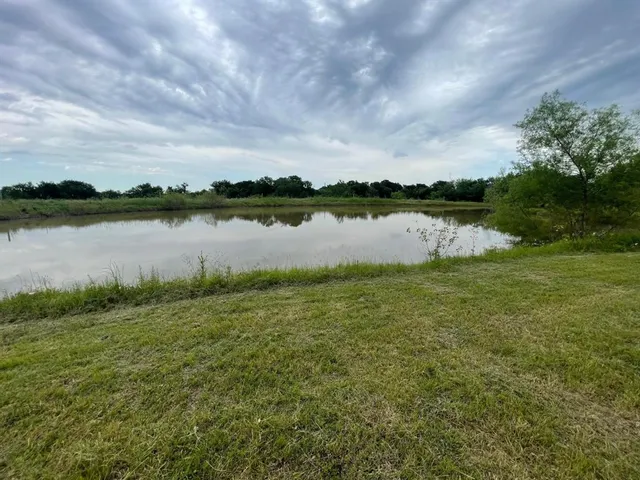 a view of a park with large trees