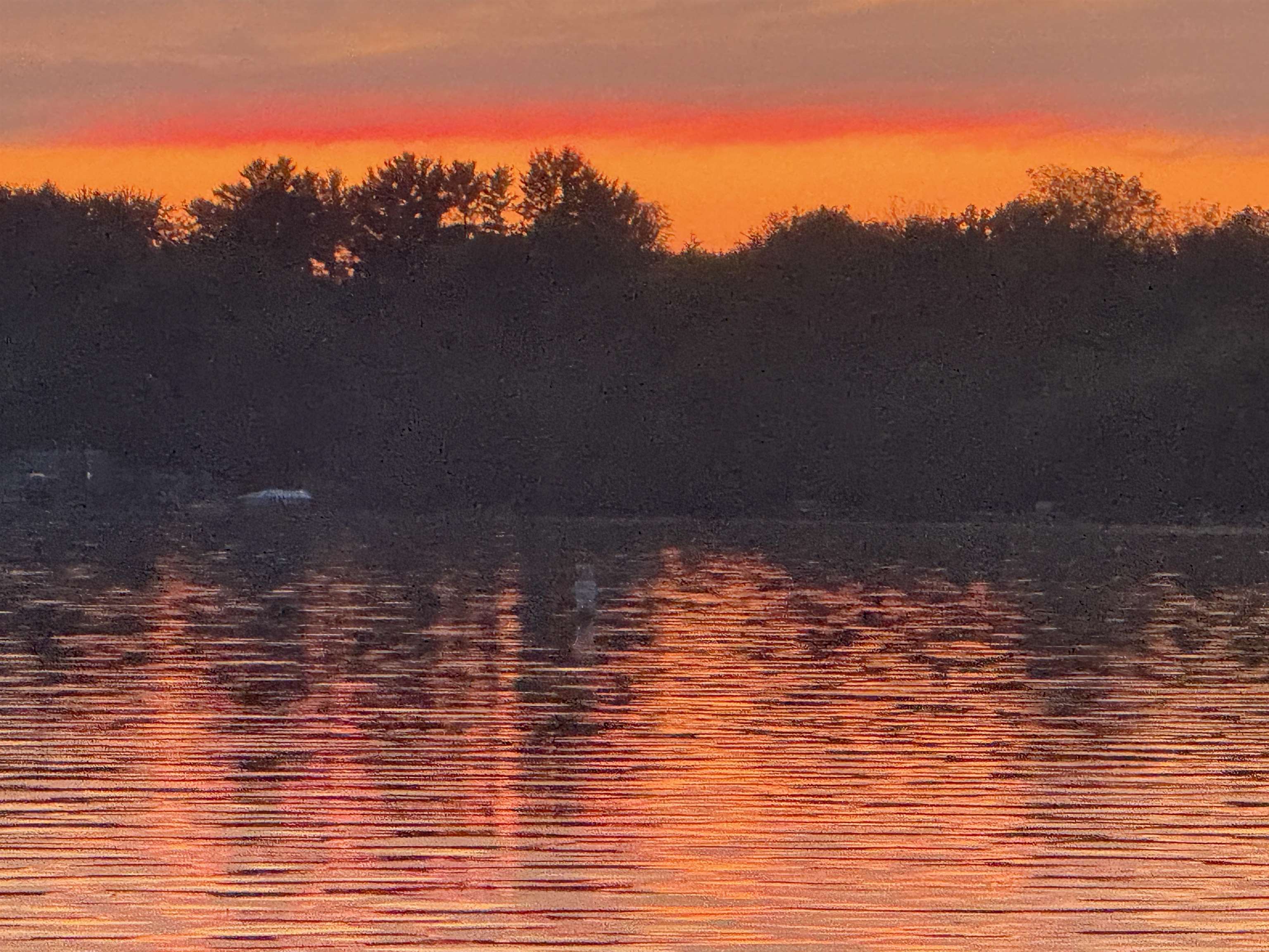 W9380 Ripley Road Cambridge, WI 53523 - Photo 6 of 53