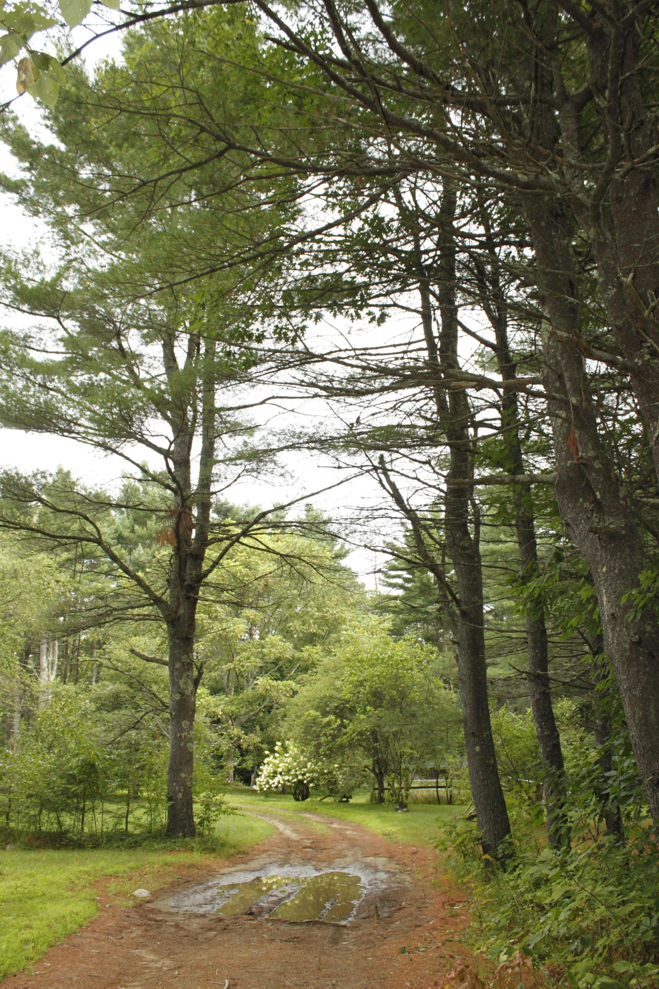 522 Williams Road Sabattus, ME 04280 - Photo 24 of 37 _MG_9816