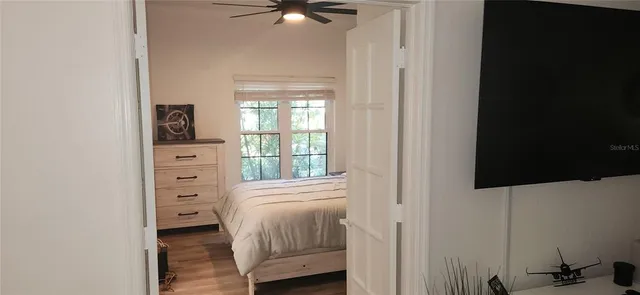 a view of a park with plants and palm trees