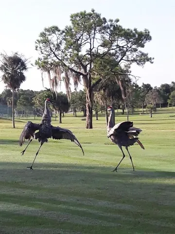 $385,000 | 304 Los Prados Drive, Unit 304, Safety Harbor, FL 34695