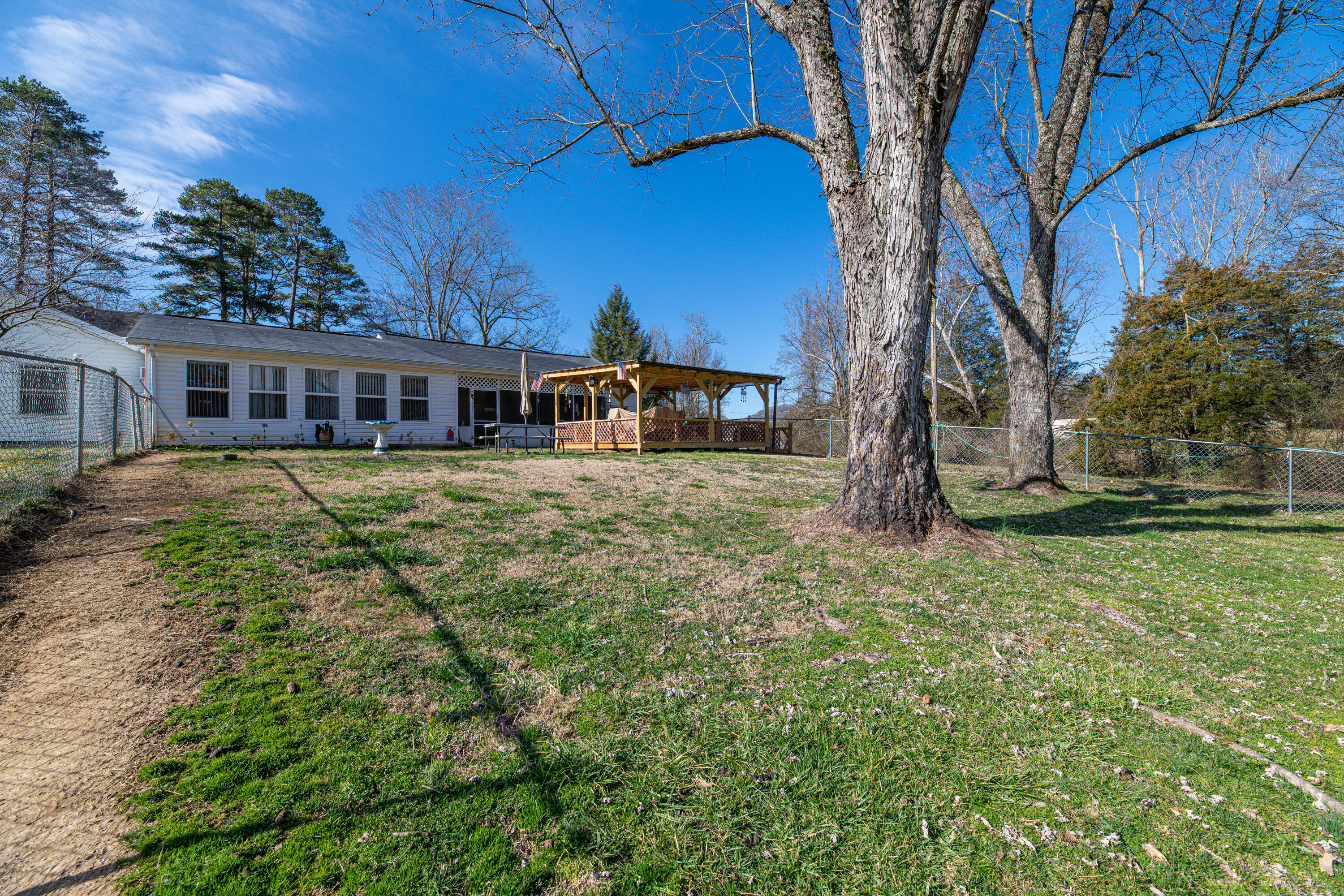 2908 Shipe Road Mascot, TN 37806 - Photo 22 of 25 Front Yard