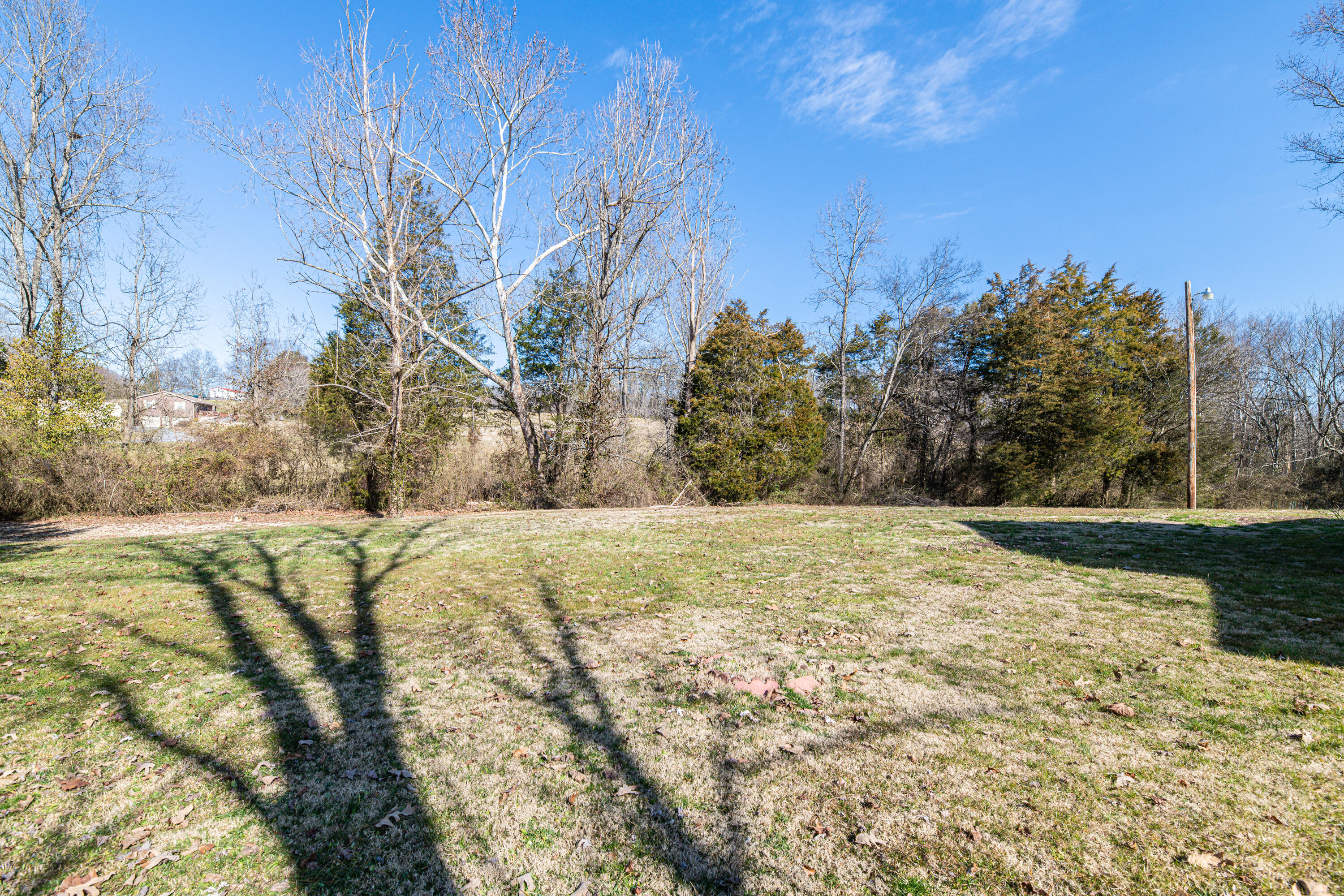 2908 Shipe Road Mascot, TN 37806 - Photo 25 of 25 Large Back Yard