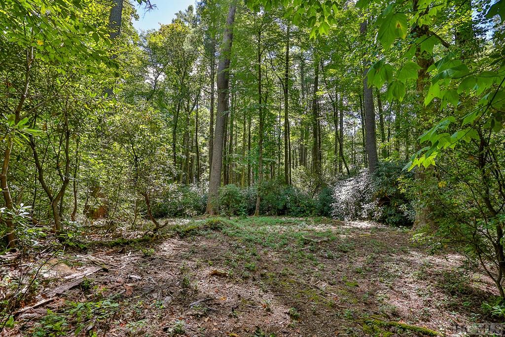 Lot 86 Flagstone Road Sapphire, NC 28774 - Photo 19 of 45 Gallery Image 19