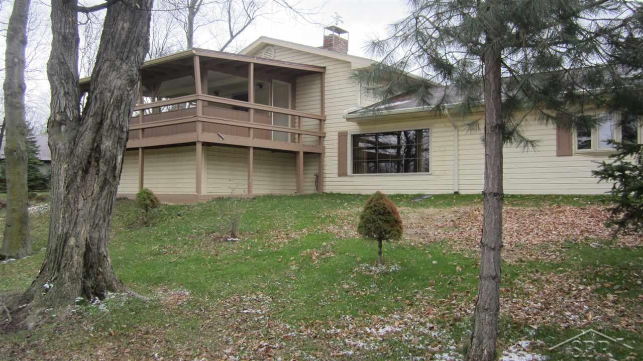 31241987.JPG
