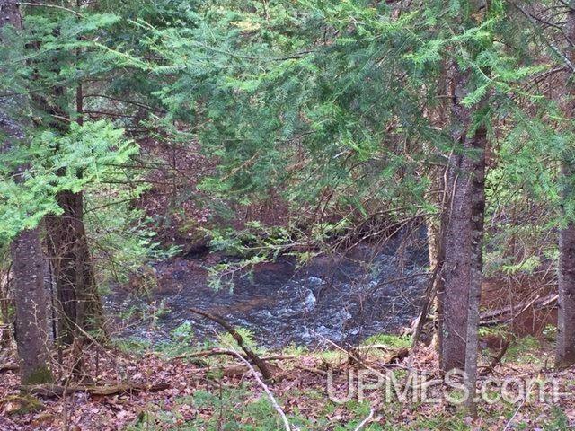 Tbd Carpenter Road Crystal Falls, MI 49920 - Photo 9 of 21