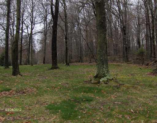164 Glade Run Road Renfrew, PA 16053 - Photo 3 of 18 Land. 1.3 ACRES