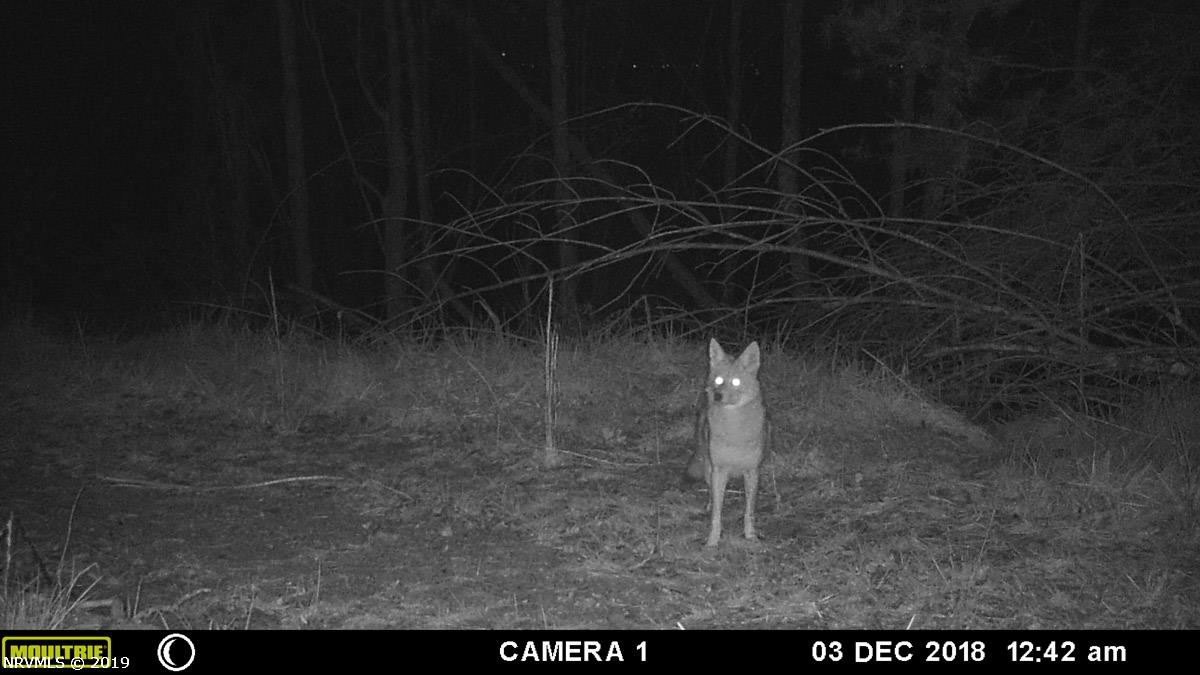 0 Daniel Road Northeast Copper Hill, VA 24079 - Photo 37 of 38 Gallery Image 37