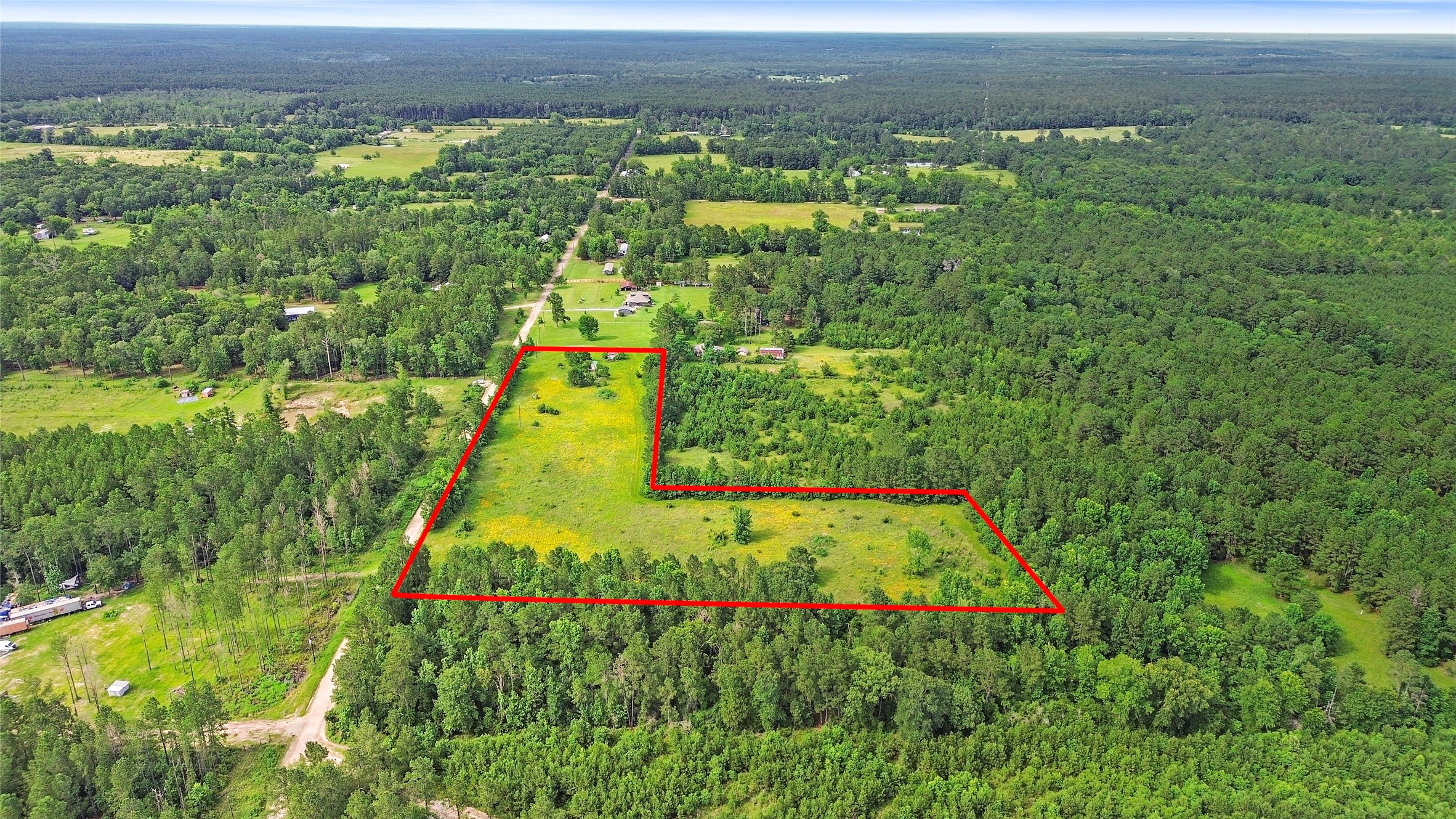 877 Josserand Road Groveton, TX 75845 - Photo 2 of 10 a view of a garden with a large tree