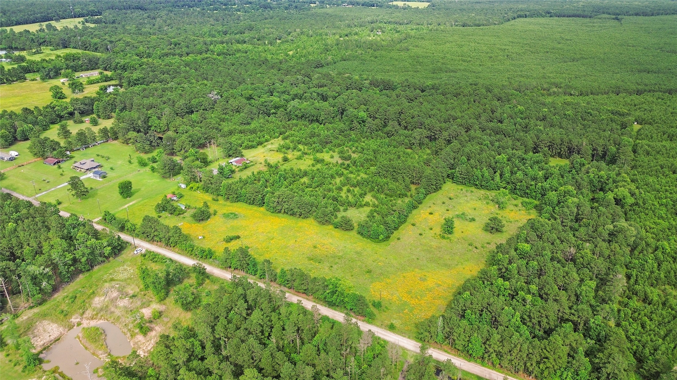877 Josserand Road Groveton, TX 75845 - Photo 4 of 10 a view of a garden
