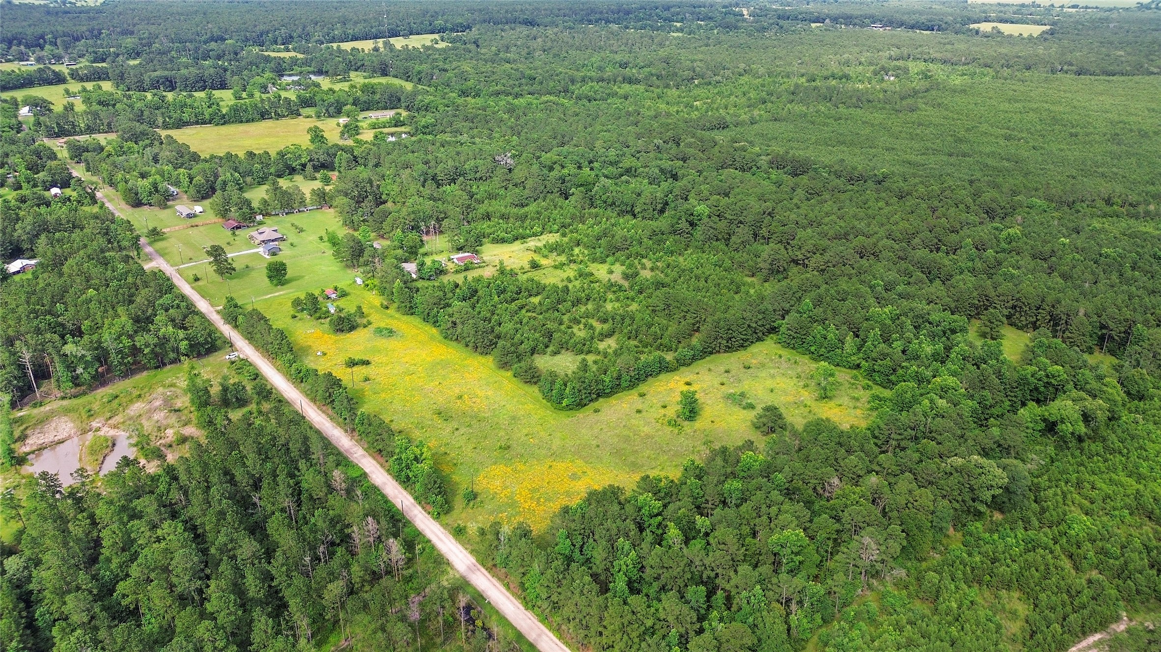 877 Josserand Road Groveton, TX 75845 - Photo 5 of 10 a view of a yard
