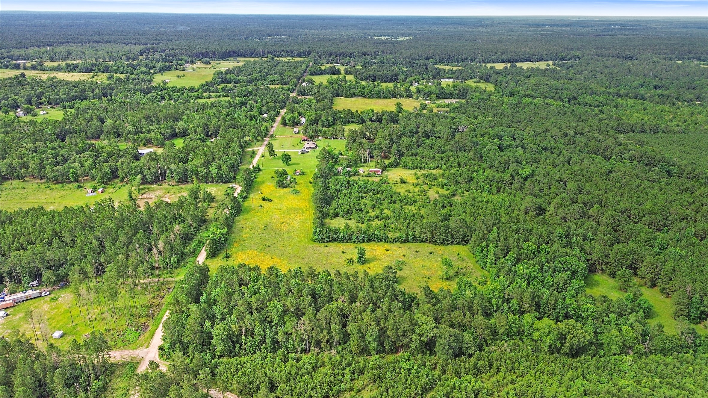 877 Josserand Road Groveton, TX 75845 - Photo 6 of 10 a view of a garden with plants and large trees