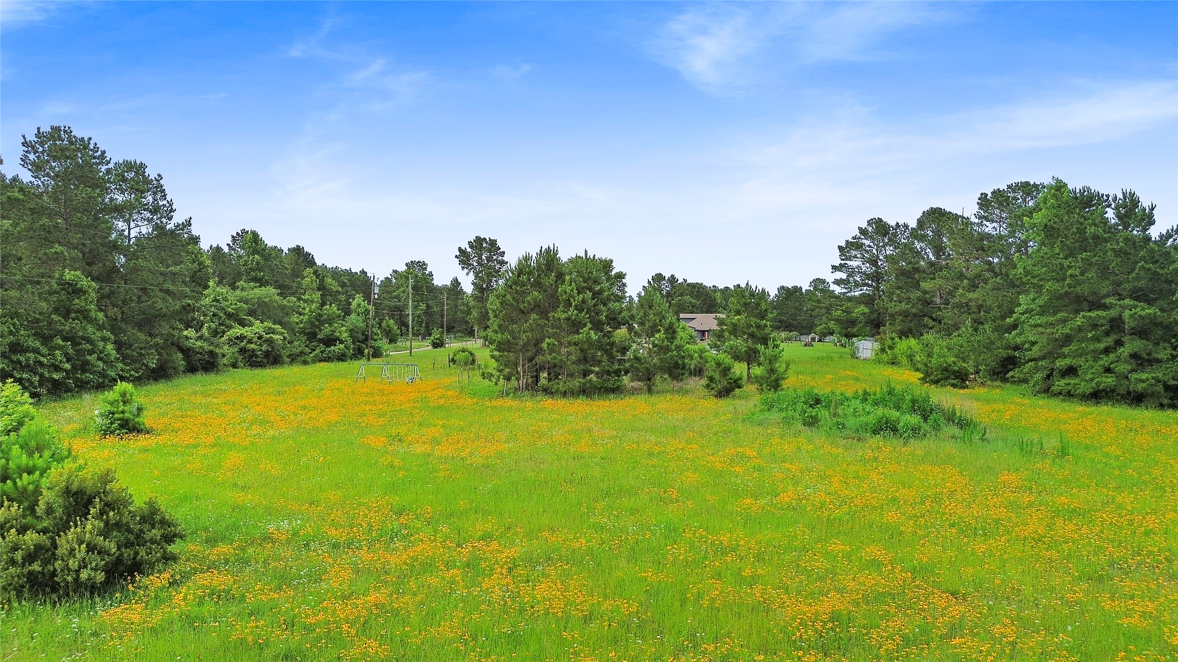 877 Josserand Road Groveton, TX 75845 - Photo 9 of 10 a view of a big yard with large trees
