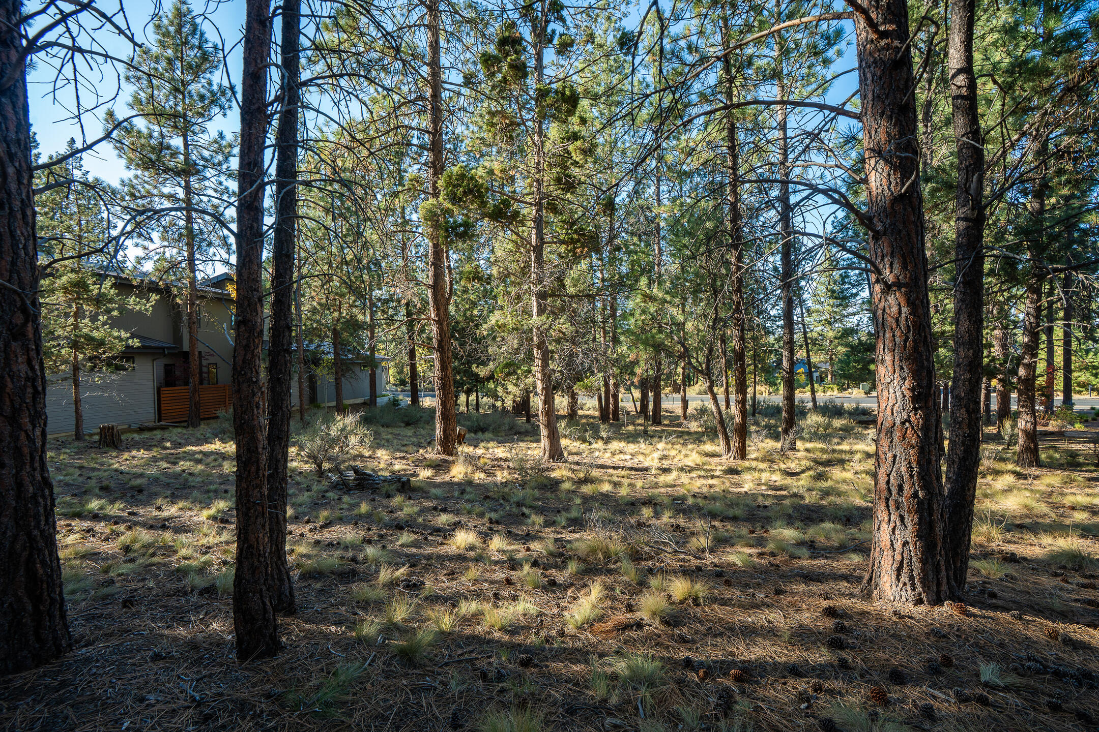 61464 Meeks Trail Bend, OR 97702 - Photo 6 of 16 05