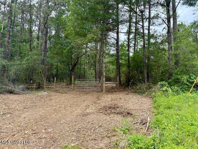 Mt Herman Road Osyka, MS 39657 - Photo 16 of 53 IMG_5431