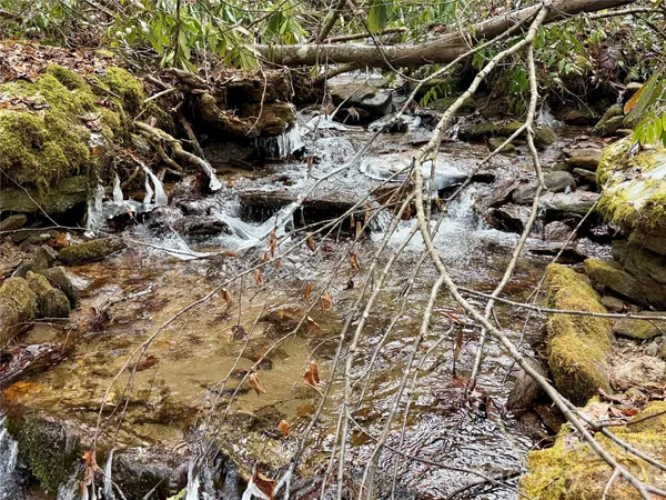 a picture of lake view