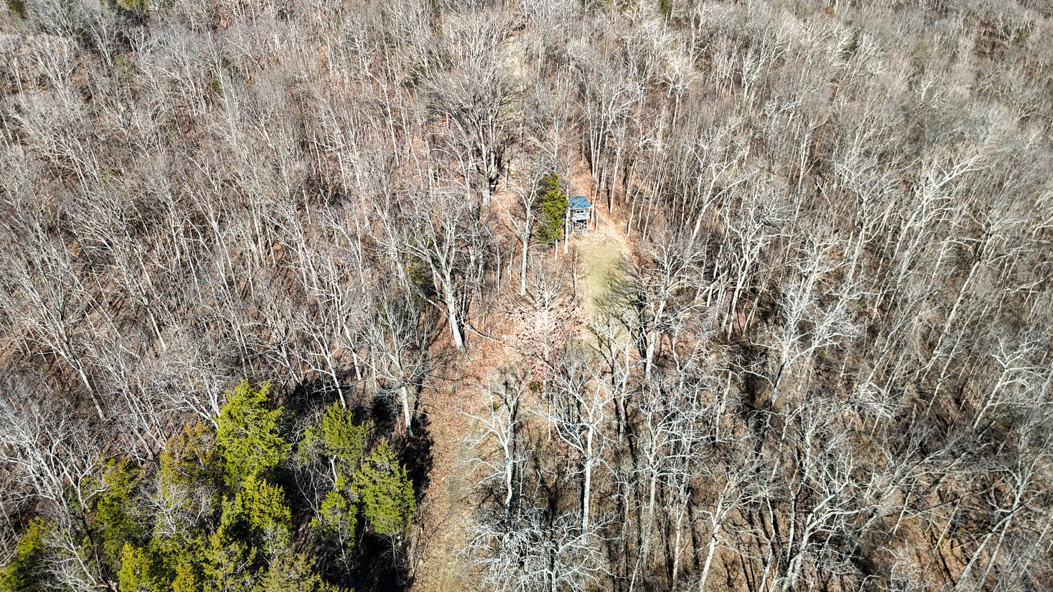 248 Sulphur Lick Road Frankfort, KY 40601 - Photo 11 of 50