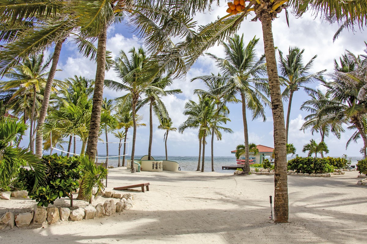 0 Belizean Shores, Unit 11B Robstown, TX 78380 - Photo 27 of 32 a view of beach and trees