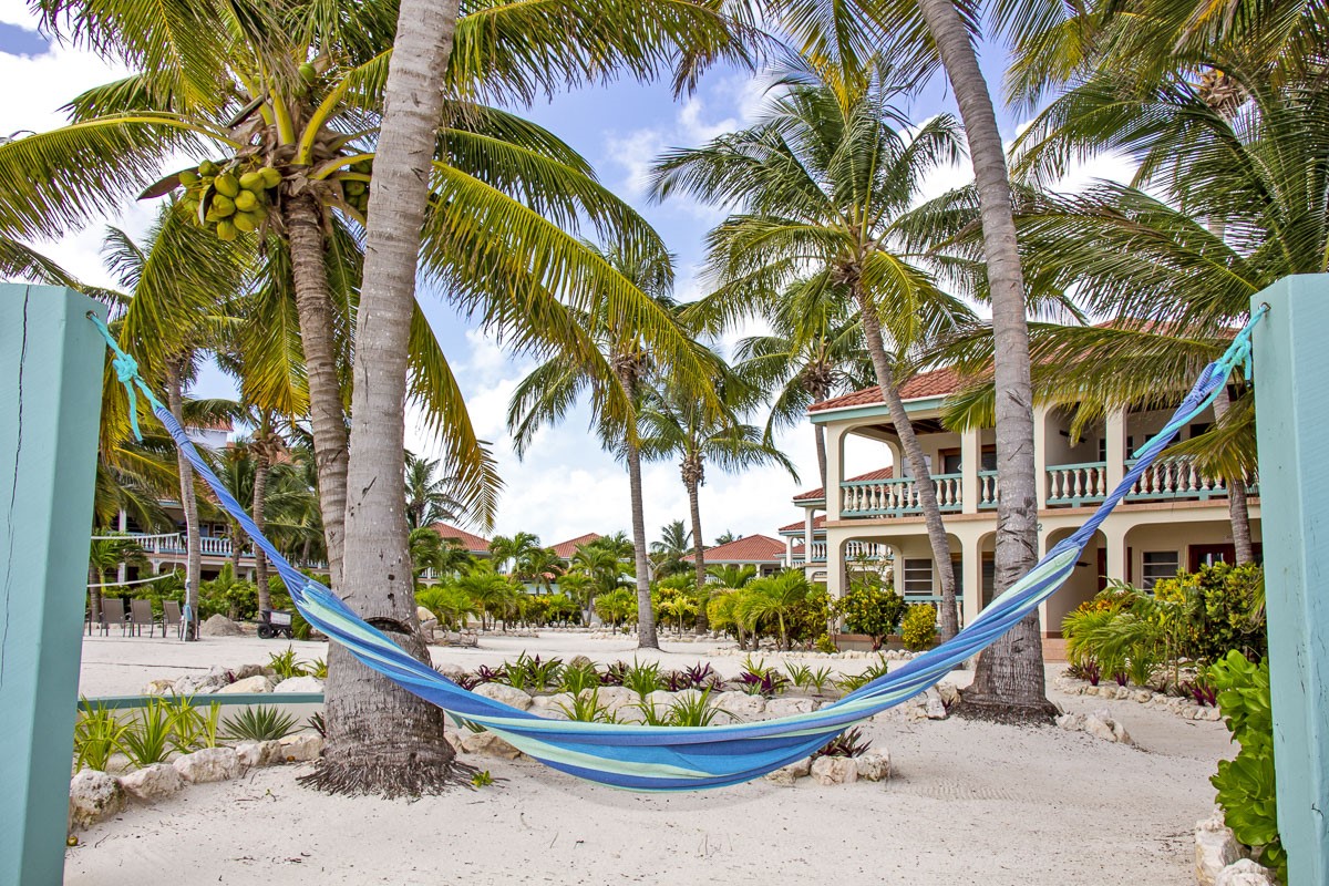 0 Belizean Shores, Unit 11B Robstown, TX 78380 - Photo 31 of 32 a park view with a palm trees