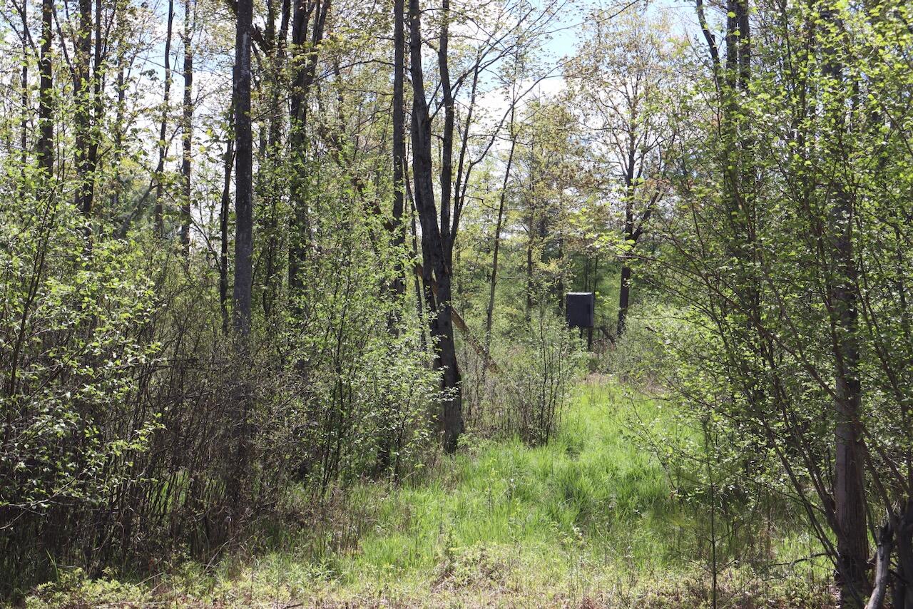 La Grant Road Alger, MI 48610 - Photo 32 of 46 026