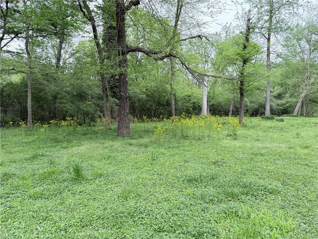 3033 Riviera Drive Conyers, GA 30012 - Photo 70 of 79 a view of outdoor space with green field and trees
