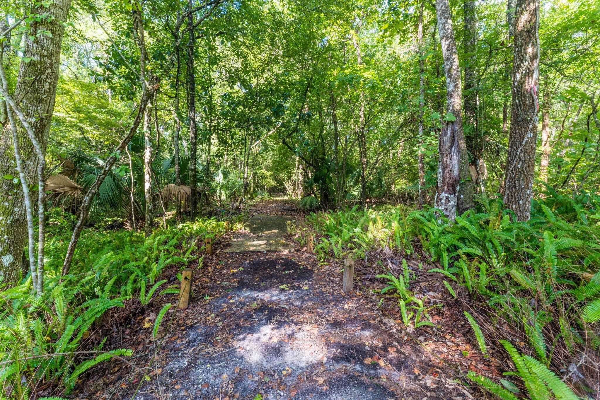 795 Kings Estate Road St. Augustine, FL 32086 - Photo 69 of 90 a view of backyard with green space