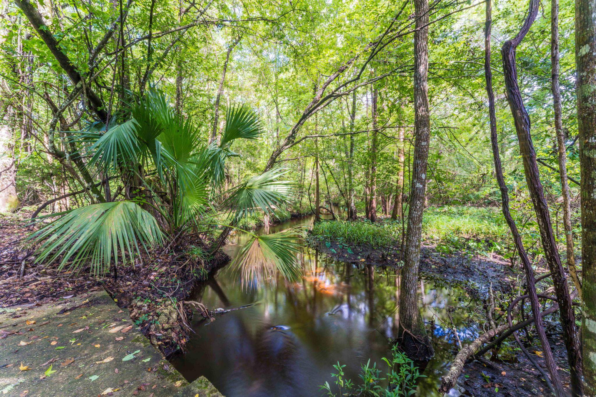 795 Kings Estate Road St. Augustine, FL 32086 - Photo 70 of 90