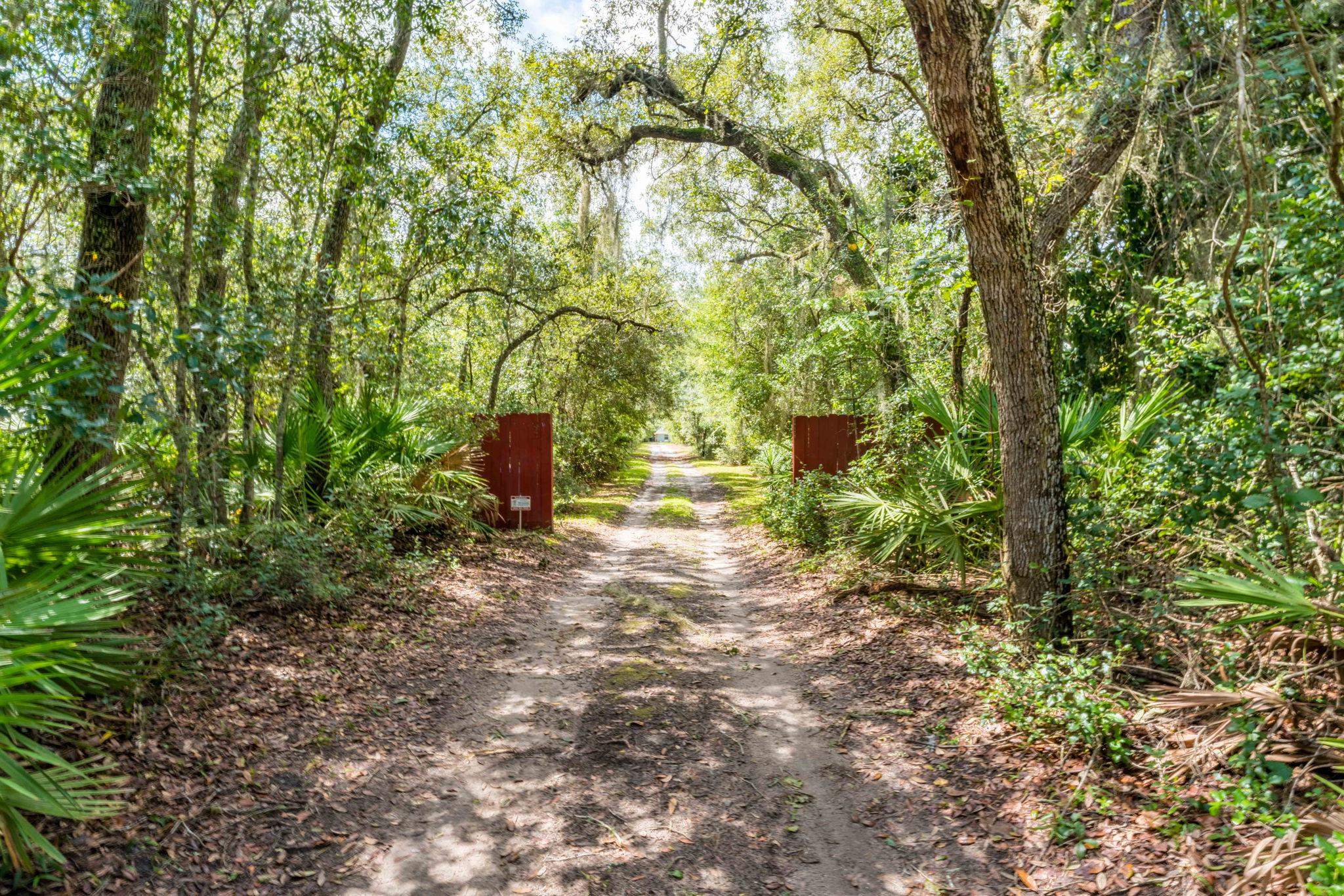795 Kings Estate Road St. Augustine, FL 32086 - Photo 72 of 90 a backyard of a house with lots of green space