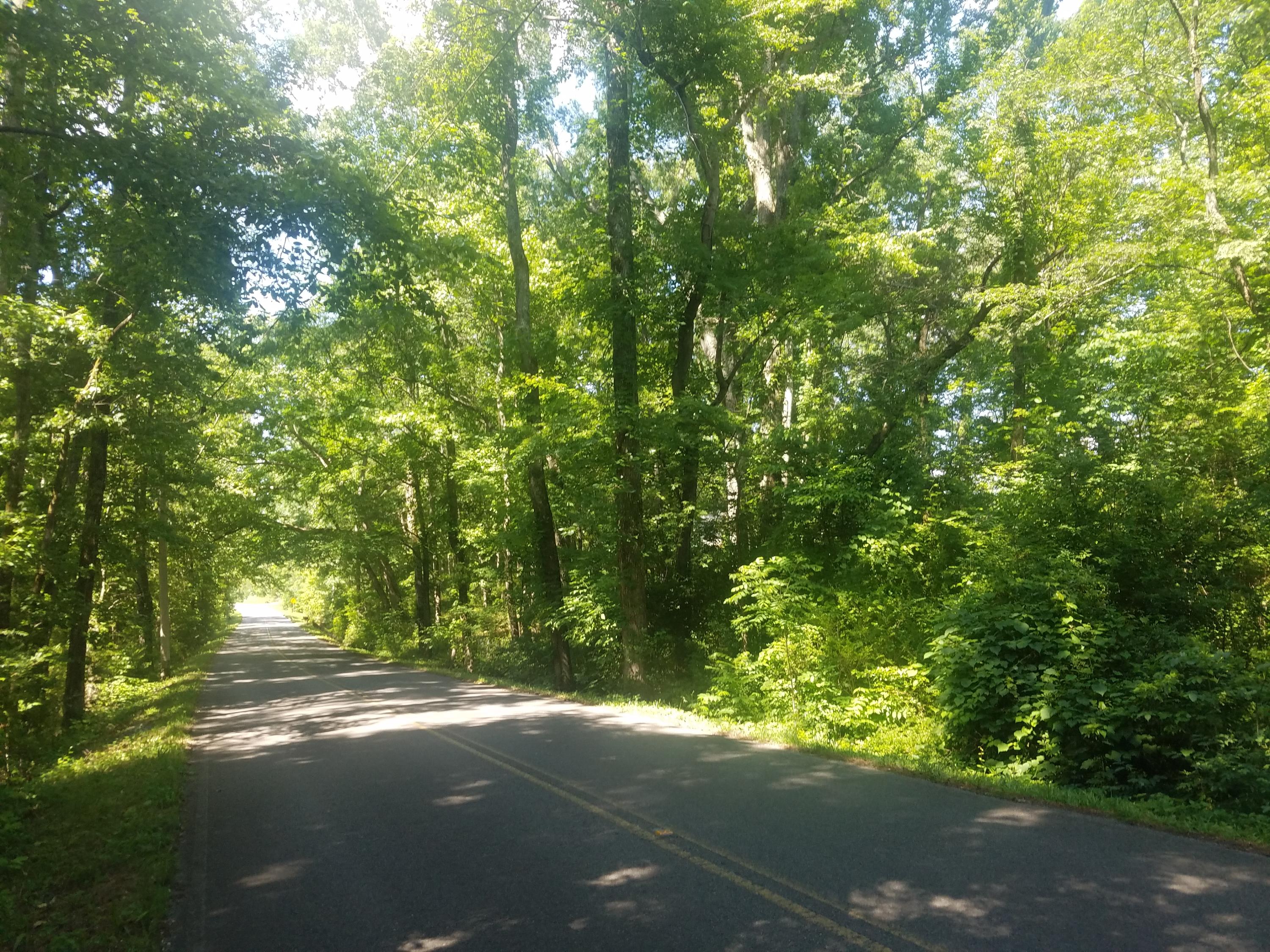 1 White Oak Valley Road Cleveland, TN 37312 - Photo 2 of 5 tract_1a_white_oak_valley