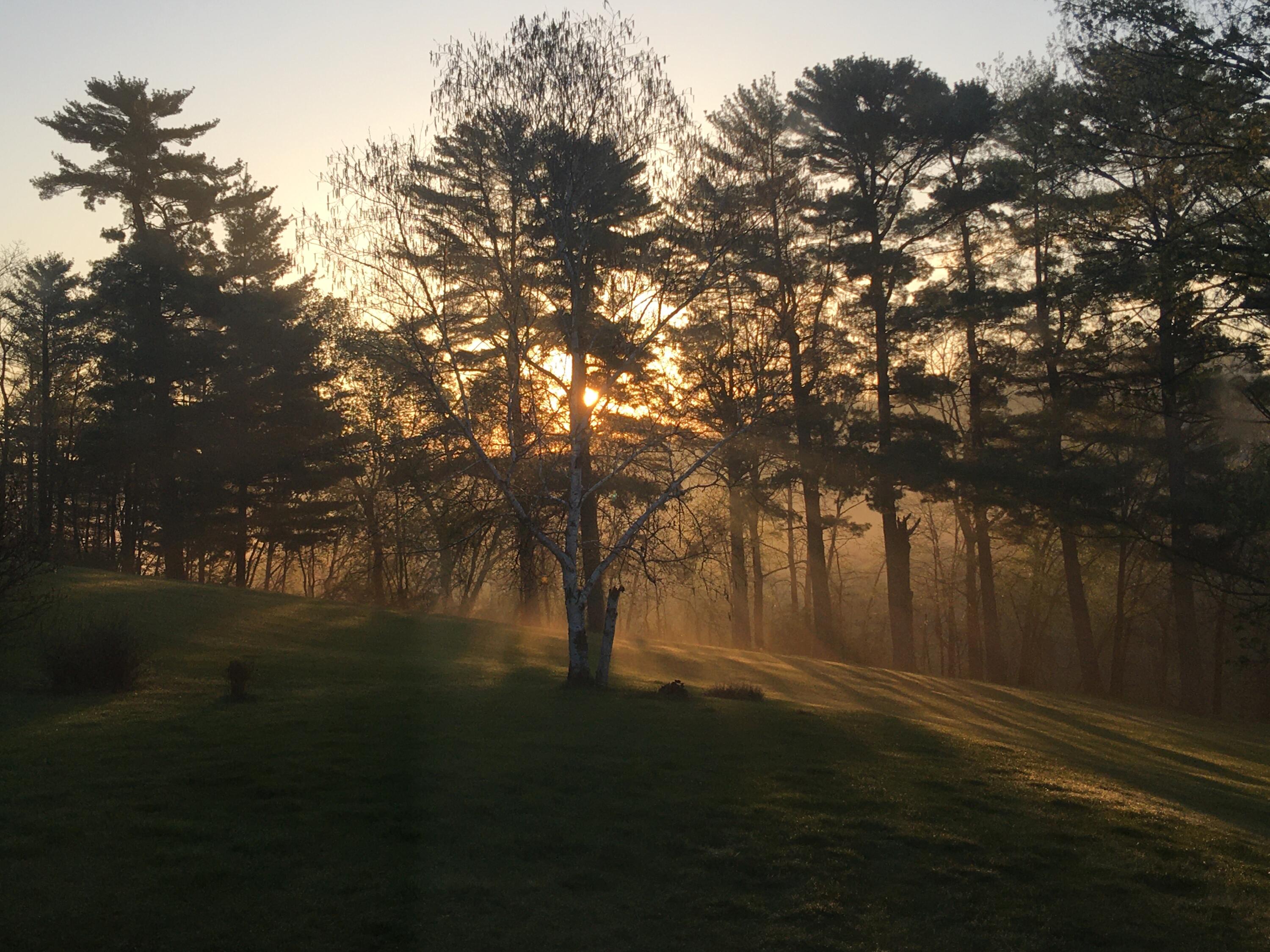 202 Ridgeview Lane South Lanesboro, MN 55949 - Photo 27 of 41 IMG_9076