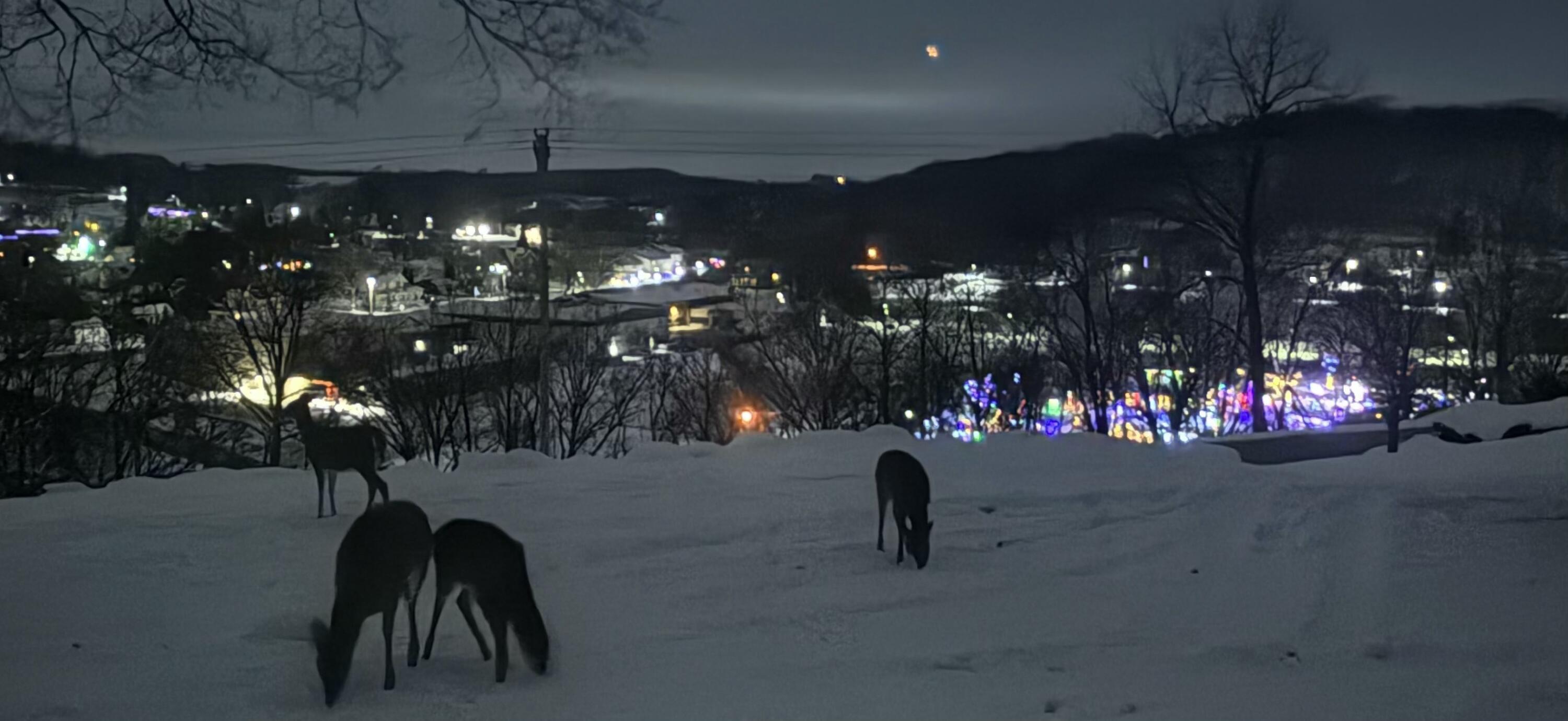 202 Ridgeview Lane South Lanesboro, MN 55949 - Photo 32 of 40 IMG_4858