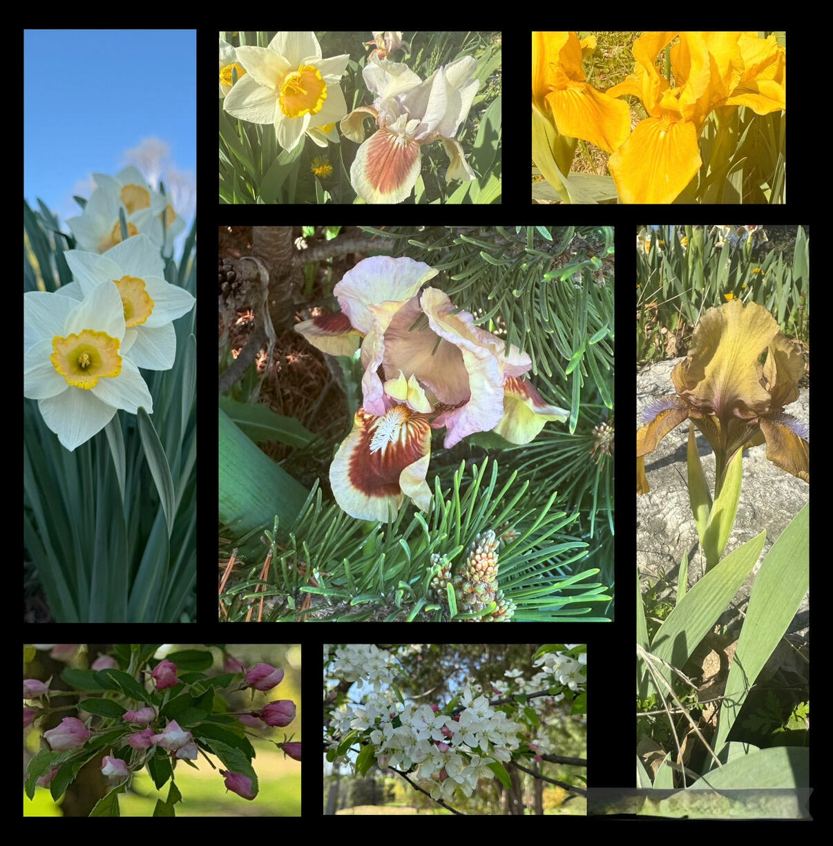 202 Ridgeview Lane South Lanesboro, MN 55949 - Photo 34 of 41 IMG_5348