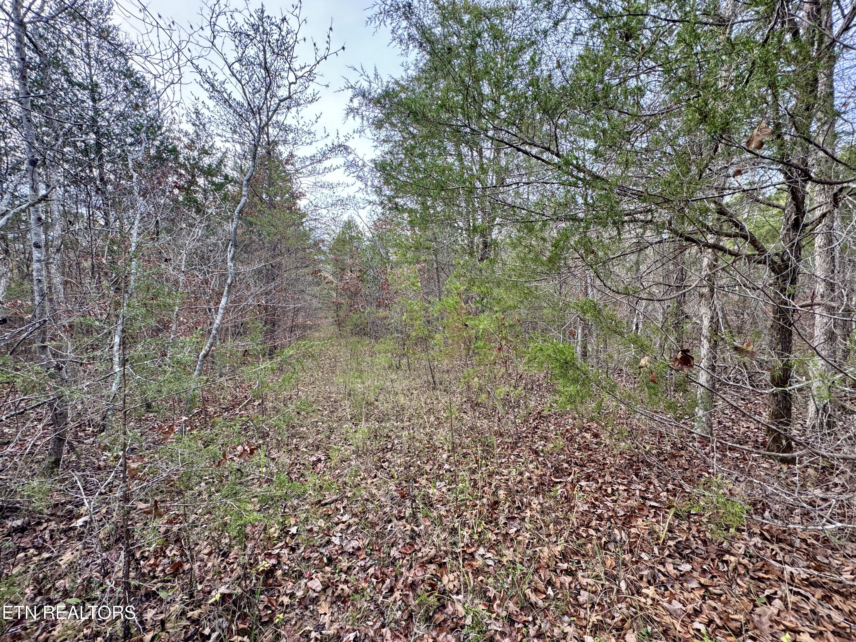 Eagle Ridge Road Kingston, TN 37763 - Photo 17 of 23 IMG_5655