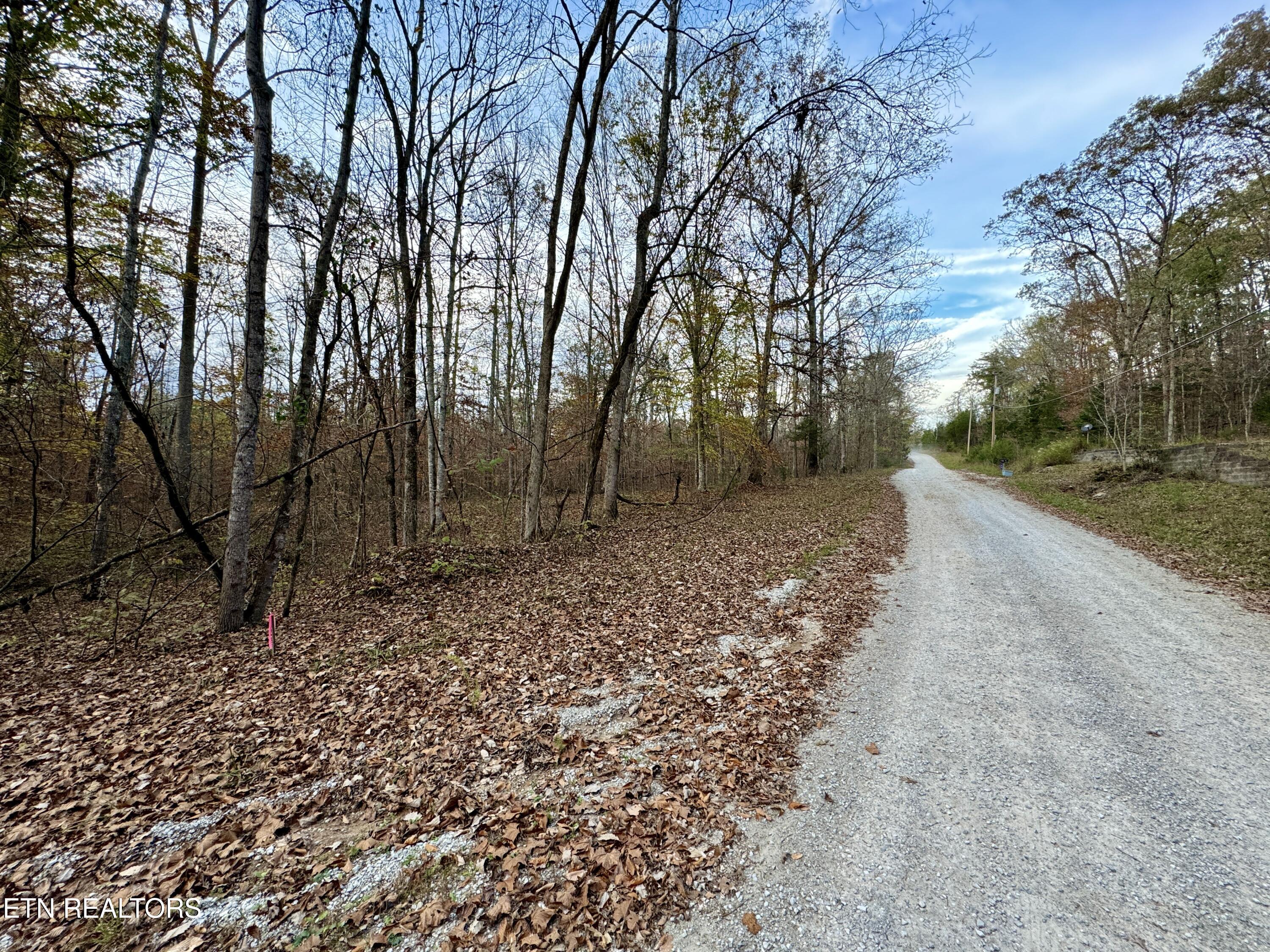 Eagle Ridge Road Kingston, TN 37763 - Photo 8 of 23 8