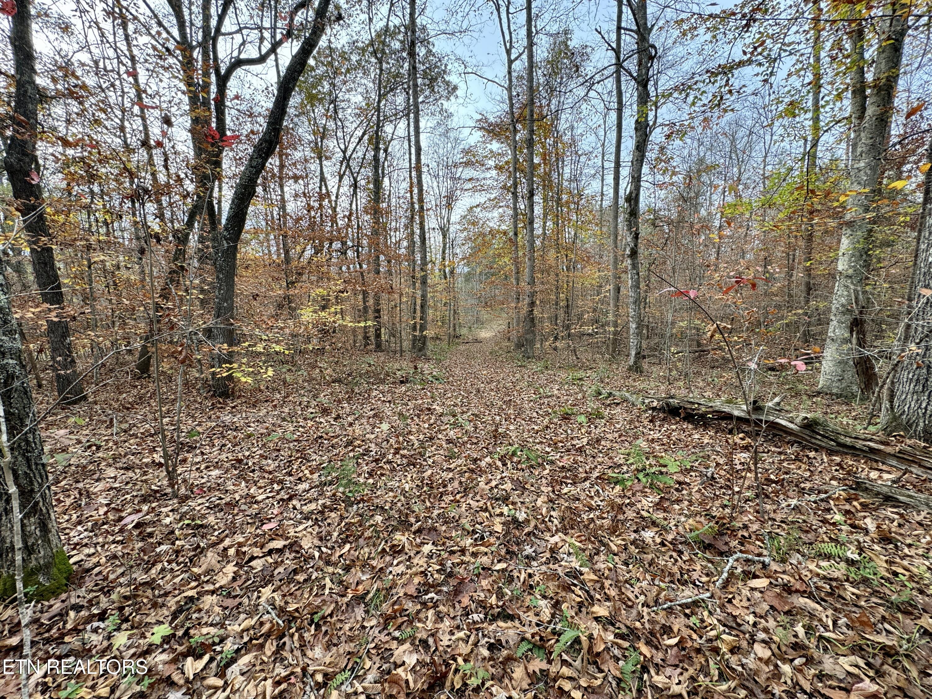 Eagle Ridge Road Kingston, TN 37763 - Photo 9 of 23 9