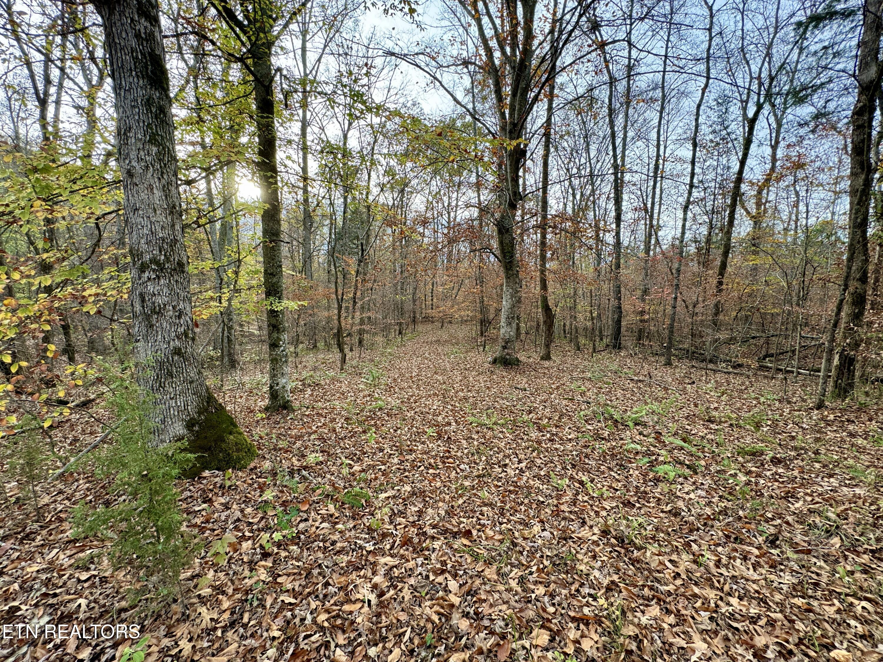 Eagle Ridge Road Kingston, TN 37763 - Photo 10 of 23 10