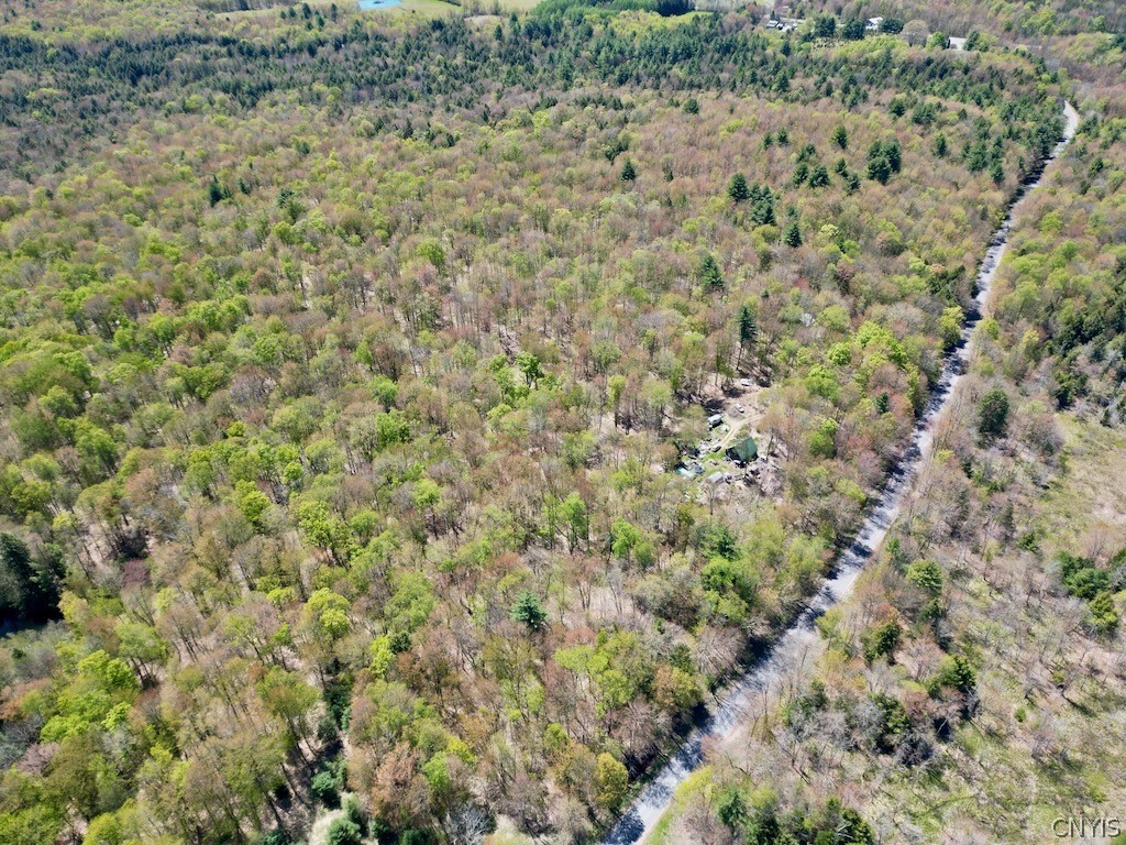 North Hillsborough Road Camden, NY 13316 - Photo 8 of 13