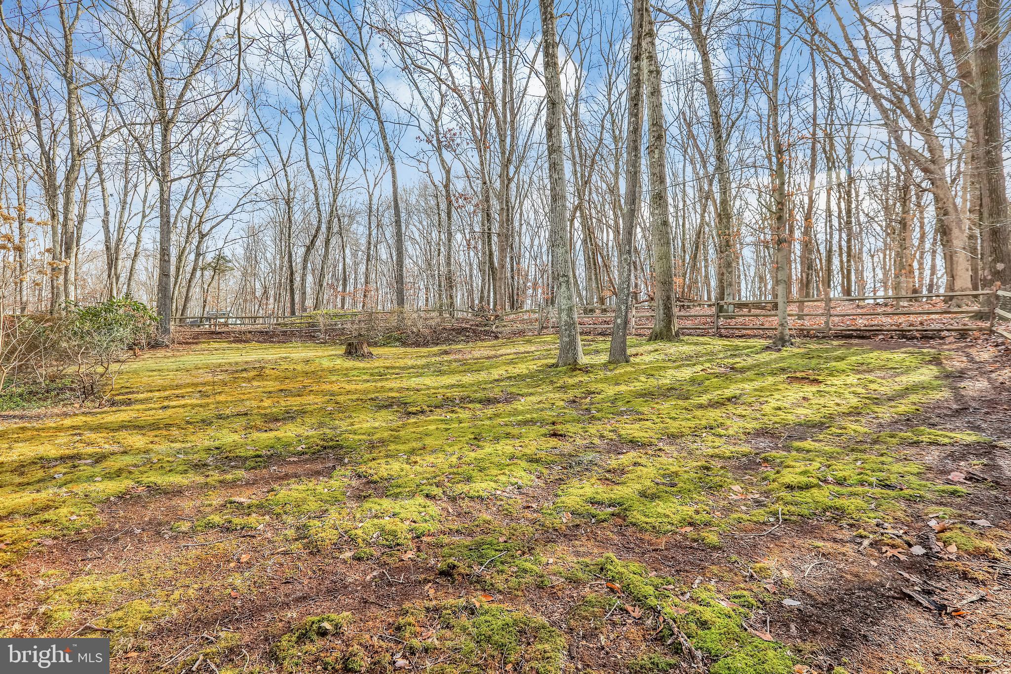 7062 Ely Road New Hope, PA 18938 - Photo 7 of 33 Open And Wooded Backyard Views