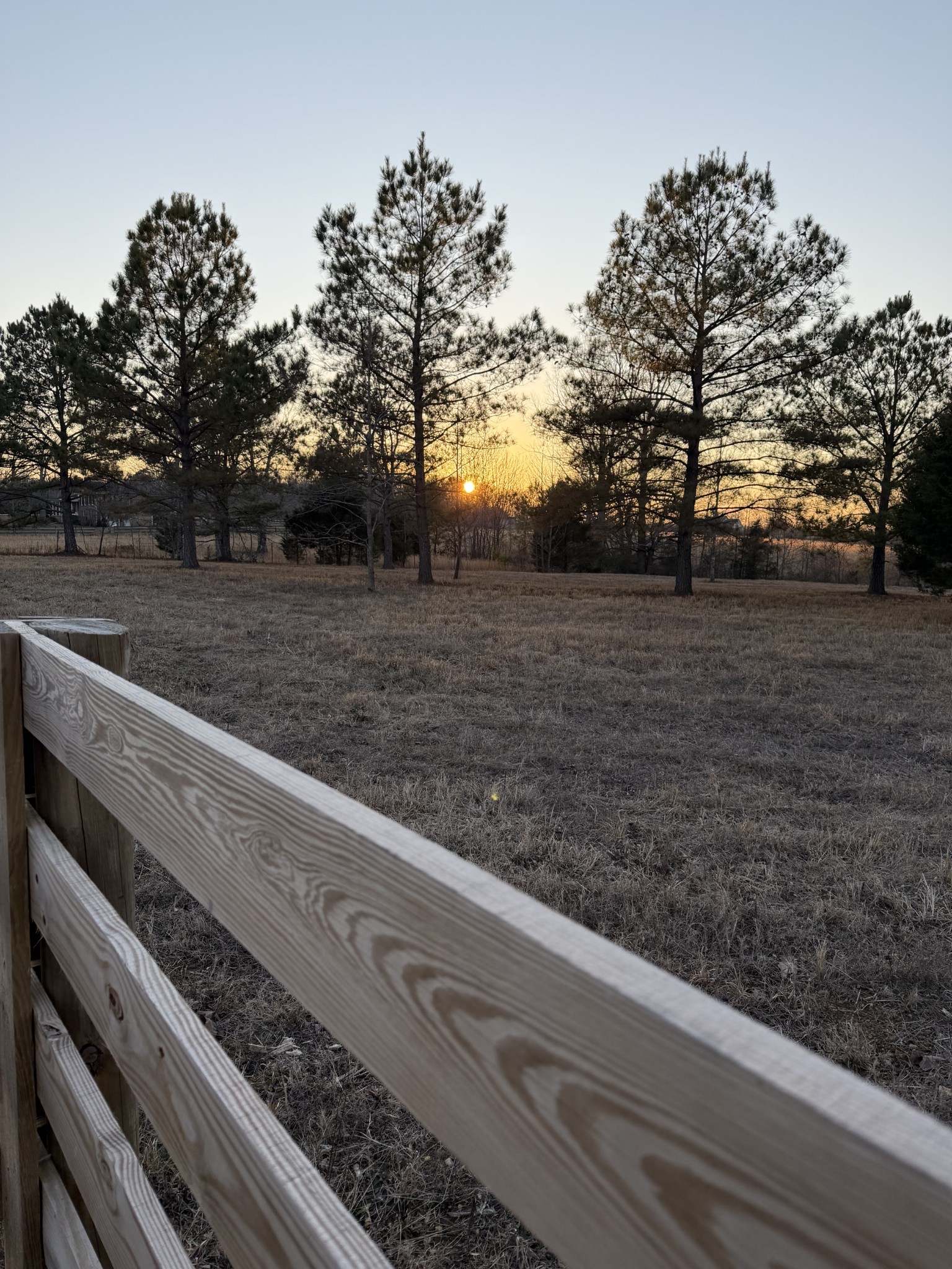 1716 Pleasant Ridge Road Goodspring, TN 38460 - Photo 11 of 26