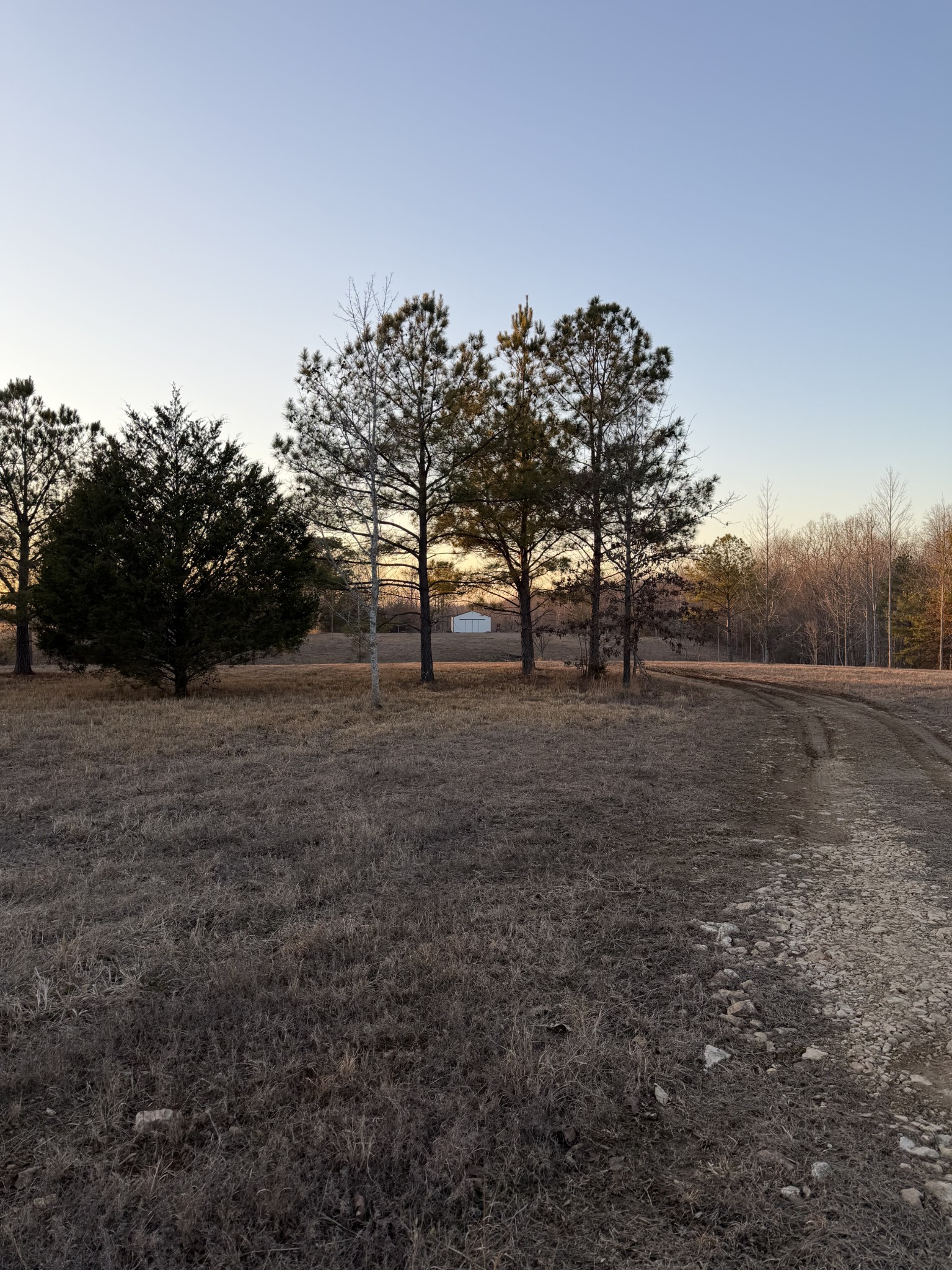 1716 Pleasant Ridge Road Goodspring, TN 38460 - Photo 13 of 26