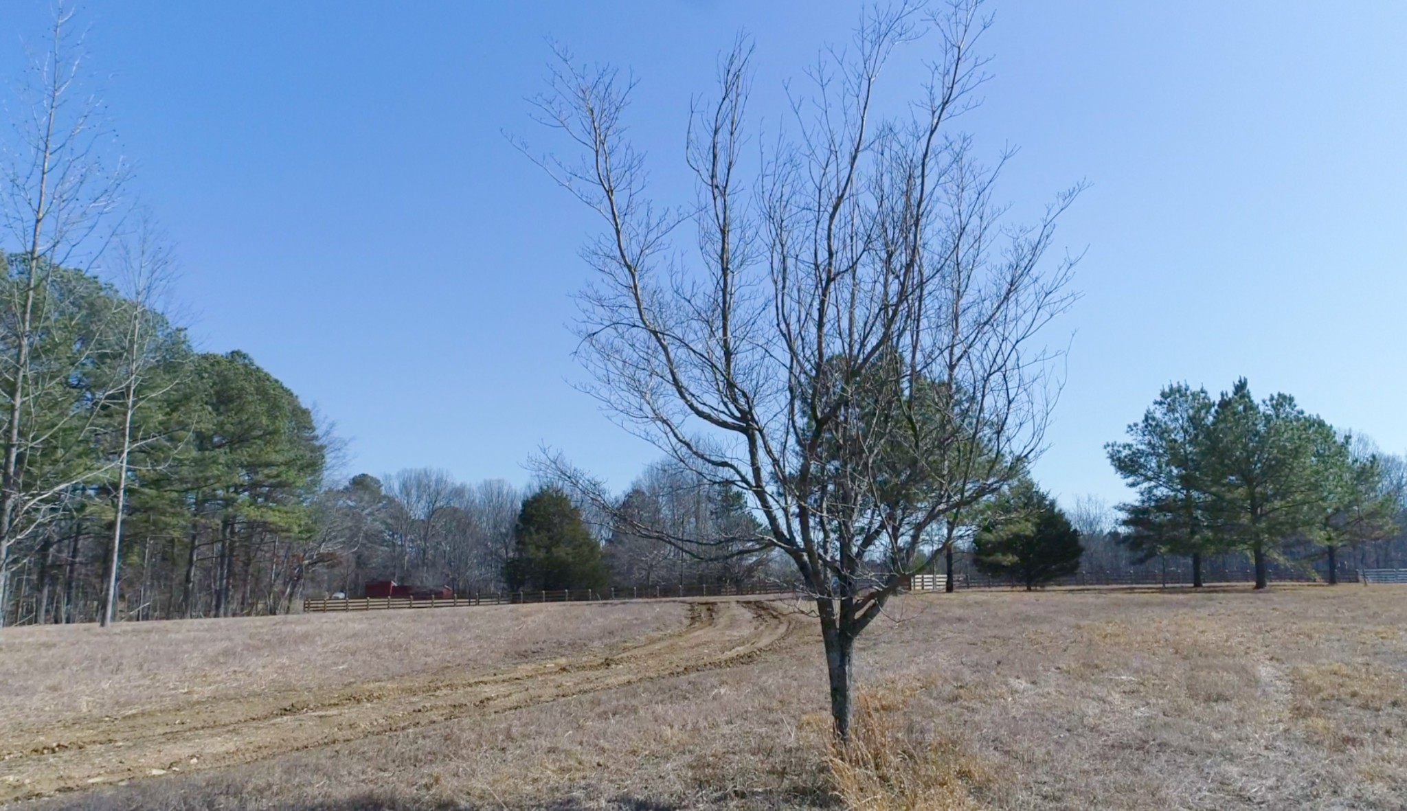 1716 Pleasant Ridge Road Goodspring, TN 38460 - Photo 15 of 26