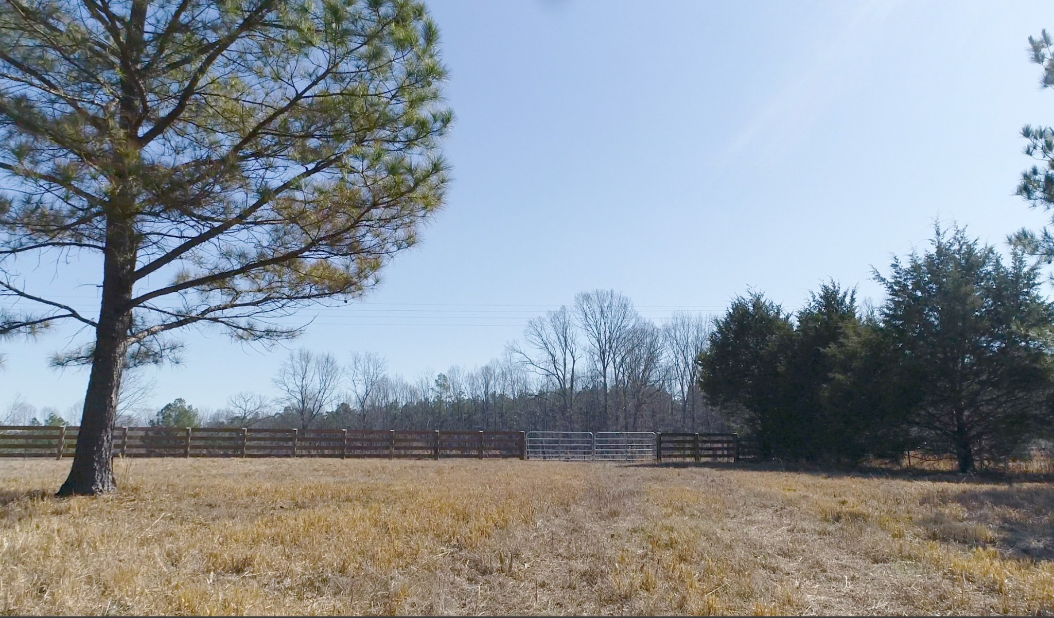 1716 Pleasant Ridge Road Goodspring, TN 38460 - Photo 16 of 26