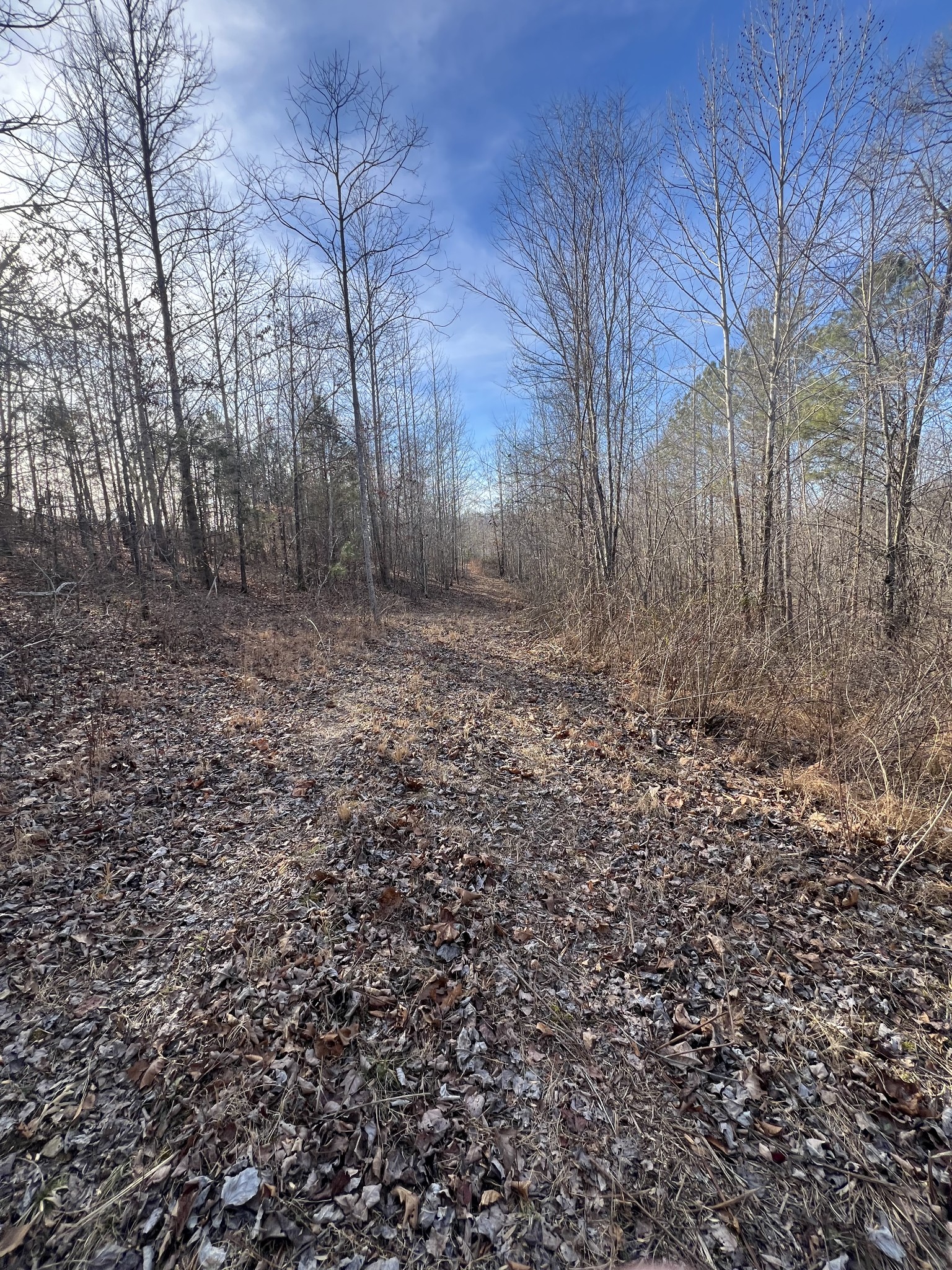 1716 Pleasant Ridge Road Goodspring, TN 38460 - Photo 25 of 26